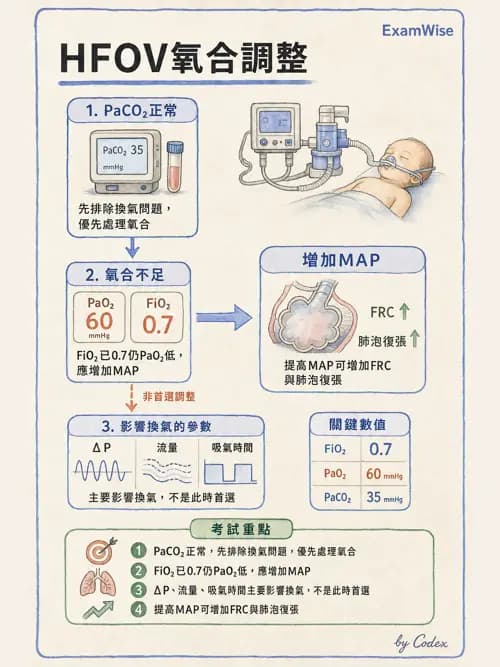 呼吸治療師 - 小兒呼吸器支持 - AI 圖文解析預覽
