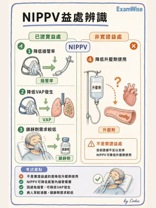 呼吸治療師 - 非侵襲性與居家通氣 - AI 圖文解析預覽