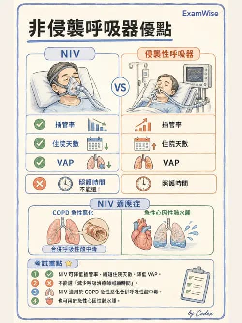 呼吸治療師 - 非侵襲性與居家通氣 - AI 圖文解析預覽