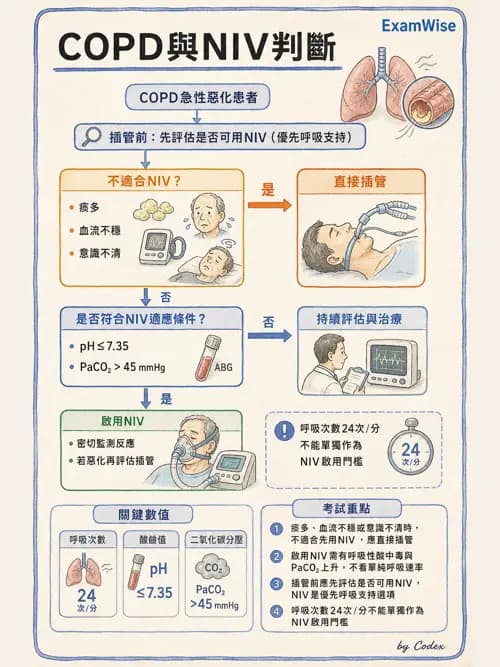 呼吸治療師 - 非侵襲性與居家通氣 - AI 圖文解析預覽