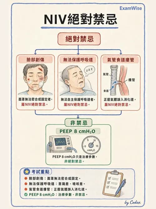 呼吸治療師 - 非侵襲性與居家通氣 - AI 圖文解析預覽
