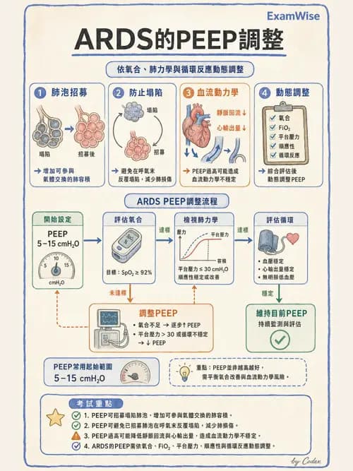 呼吸治療師 - ARDS與呼吸衰竭 - AI 圖文解析預覽