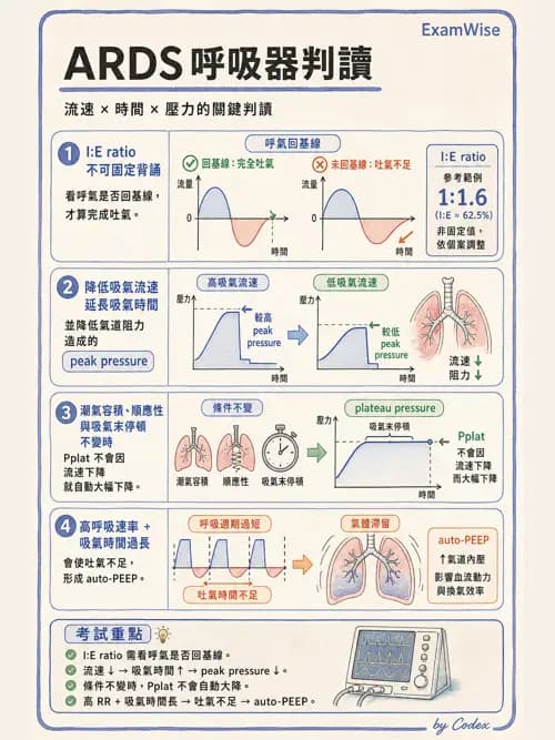 呼吸治療師 - ARDS與呼吸衰竭 - AI 圖文解析預覽