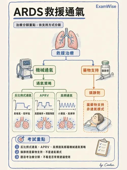 呼吸治療師 - ARDS與呼吸衰竭 - AI 圖文解析預覽