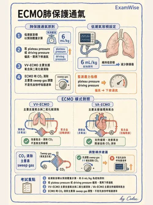 呼吸治療師 - 重症特殊處置 - AI 圖文解析預覽