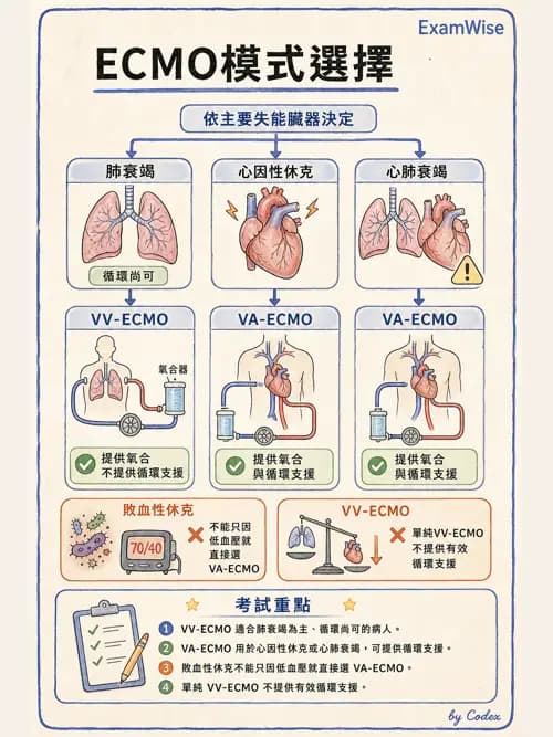 呼吸治療師 - 重症特殊處置 - AI 圖文解析預覽
