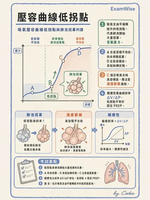 呼吸治療師 - ARDS與呼吸衰竭 - AI 圖文解析預覽