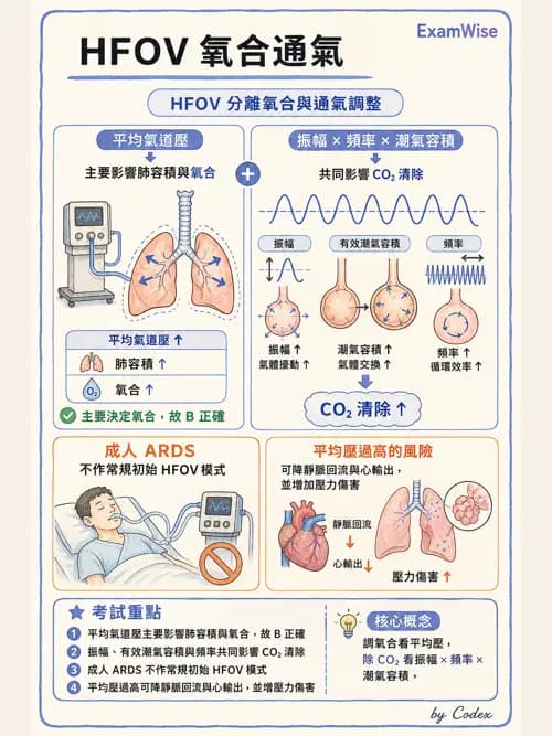 呼吸治療師 - 重症特殊處置 - AI 圖文解析預覽