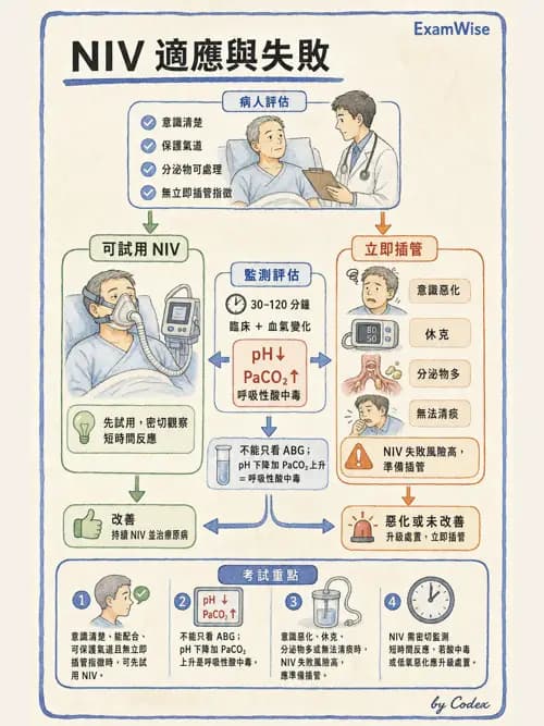 呼吸治療師 - ARDS與呼吸衰竭 - AI 圖文解析預覽
