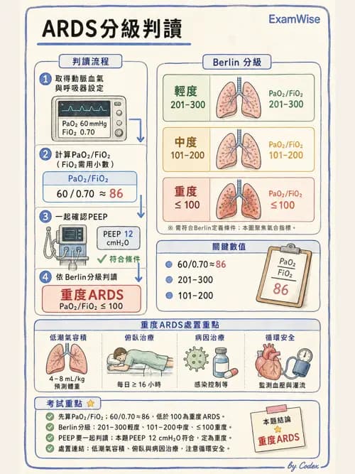 呼吸治療師 - ARDS與呼吸衰竭 - AI 圖文解析預覽