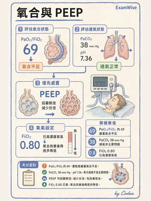 呼吸治療師 - ARDS與呼吸衰竭 - AI 圖文解析預覽