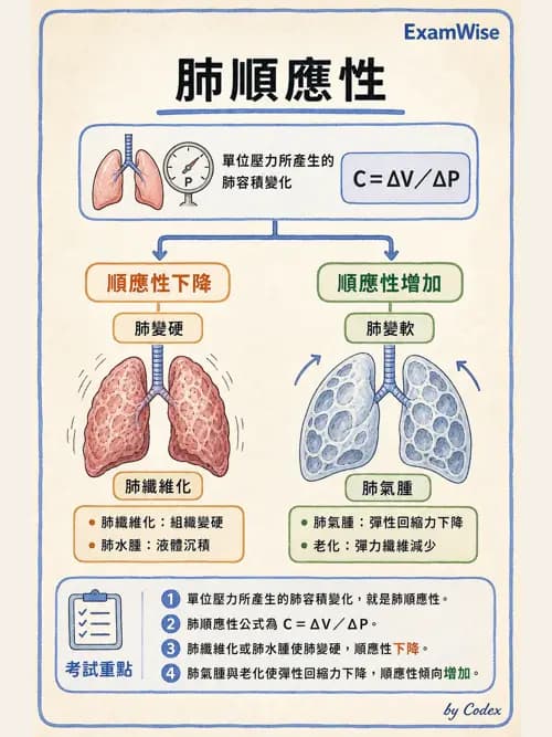 呼吸治療師 - 重症監測與判讀 - AI 圖文解析預覽