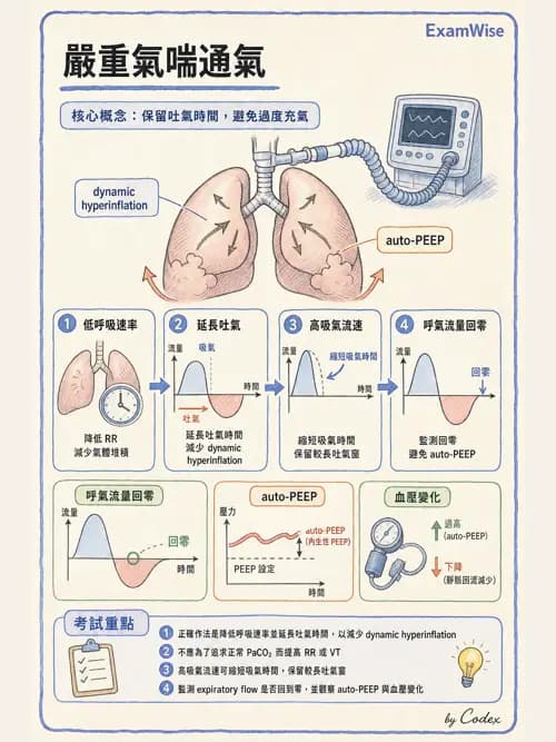 呼吸治療師 - 心臟疾病與COPD重症 - AI 圖文解析預覽
