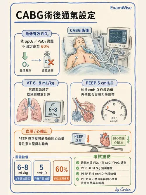呼吸治療師 - 術後與其他呼吸重症 - AI 圖文解析預覽