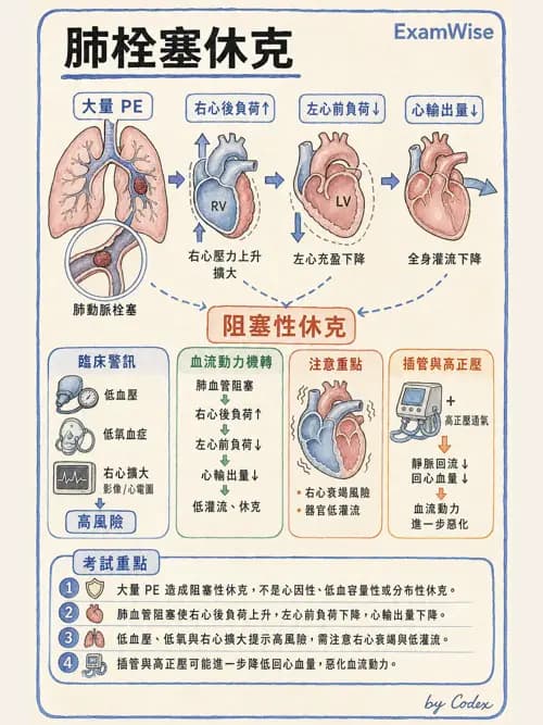 呼吸治療師 - 休克、敗血症與多器官衰竭 - AI 圖文解析預覽