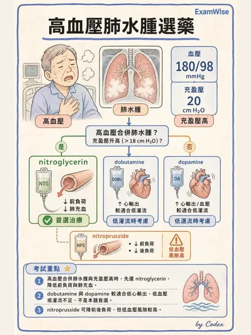 呼吸治療師 - 心臟疾病與COPD重症 - AI 圖文解析預覽