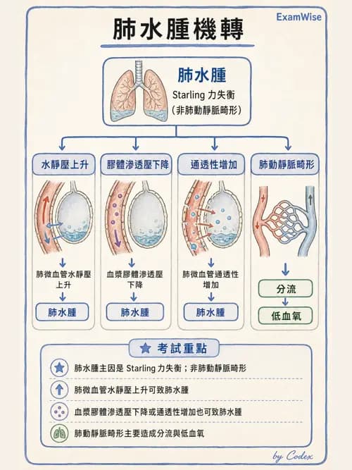 呼吸治療師 - ARDS與呼吸衰竭 - AI 圖文解析預覽