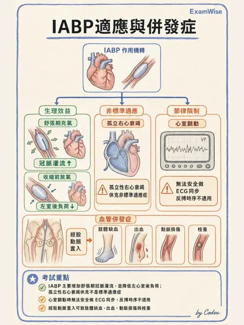 呼吸治療師 - 心臟疾病與COPD重症 - AI 圖文解析預覽