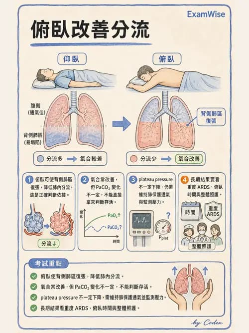 呼吸治療師 - ARDS與呼吸衰竭 - AI 圖文解析預覽