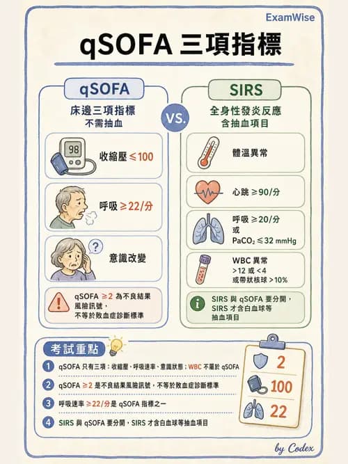 呼吸治療師 - 休克、敗血症與多器官衰竭 - AI 圖文解析預覽