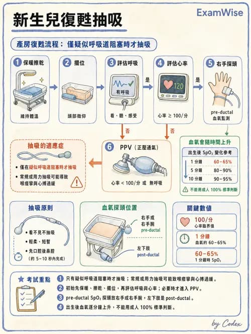 呼吸治療師 - 小兒相關重症 - AI 圖文解析預覽