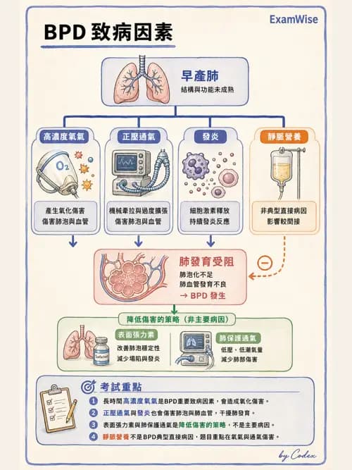 呼吸治療師 - 小兒相關重症 - AI 圖文解析預覽