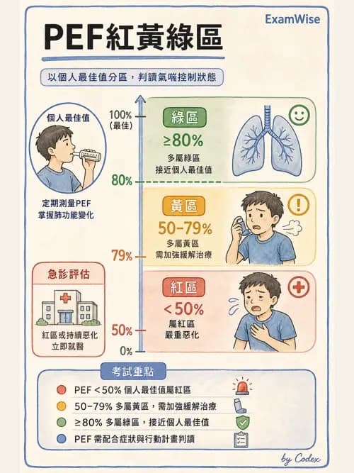 呼吸治療師 - 小兒相關重症 - AI 圖文解析預覽