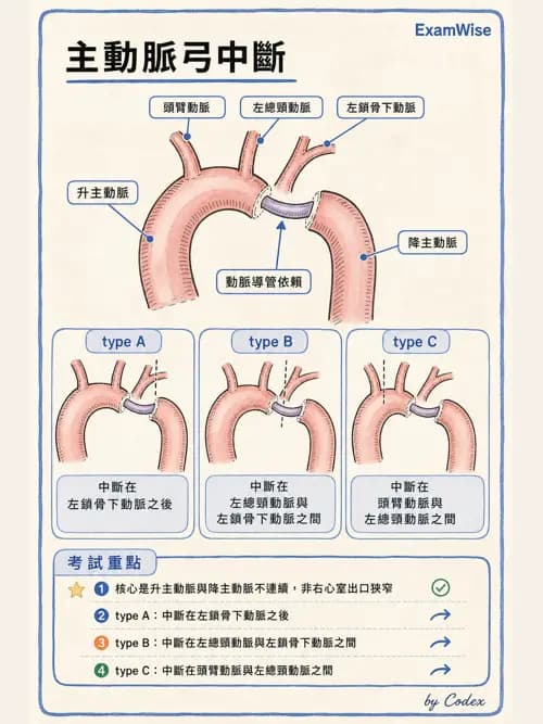 呼吸治療師 - 小兒相關重症 - AI 圖文解析預覽
