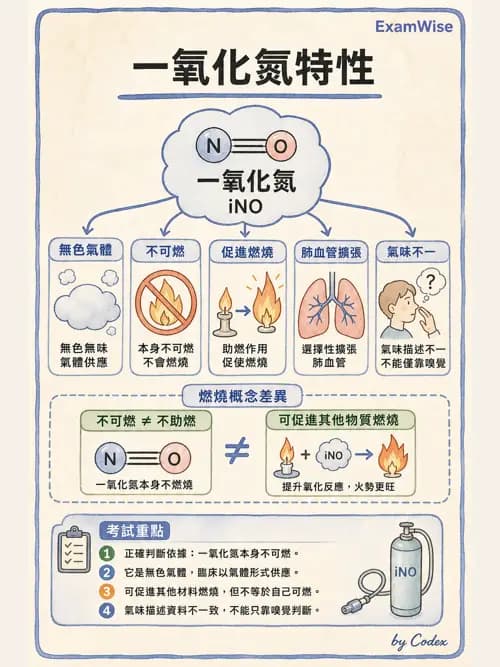 呼吸治療師 - 重症特殊處置 - AI 圖文解析預覽