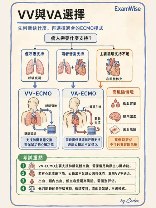呼吸治療師 - 重症特殊處置 - AI 圖文解析預覽