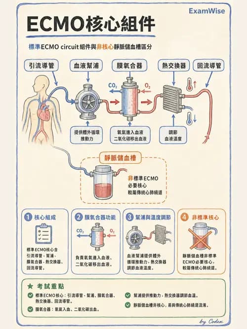 呼吸治療師 - 重症特殊處置 - AI 圖文解析預覽