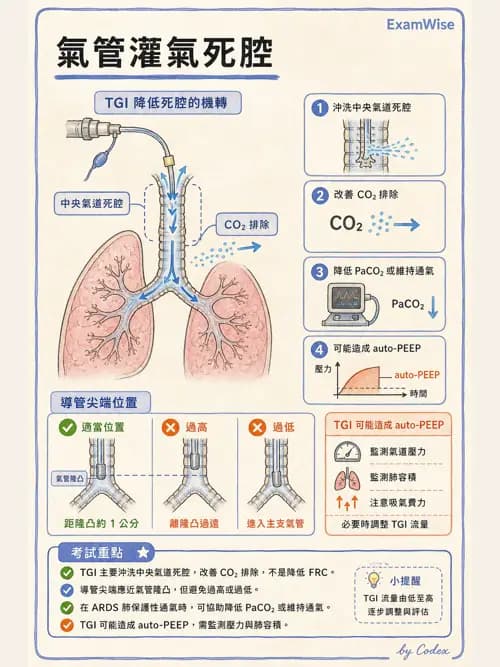 呼吸治療師 - 重症特殊處置 - AI 圖文解析預覽