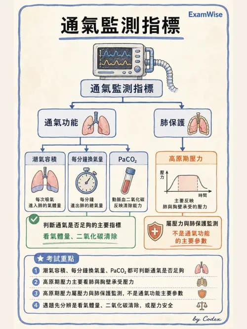 呼吸治療師 - 重症監測與判讀 - AI 圖文解析預覽