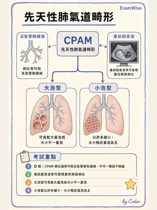 呼吸治療師 - 兒童呼吸系統疾病 - AI 圖文解析預覽