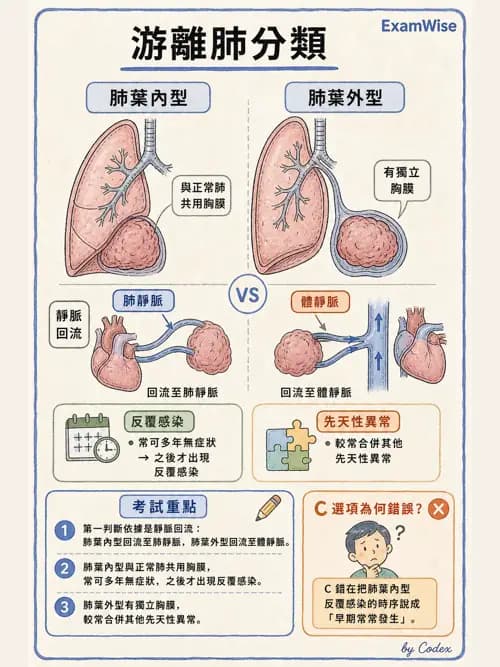 呼吸治療師 - 兒童呼吸系統疾病 - AI 圖文解析預覽