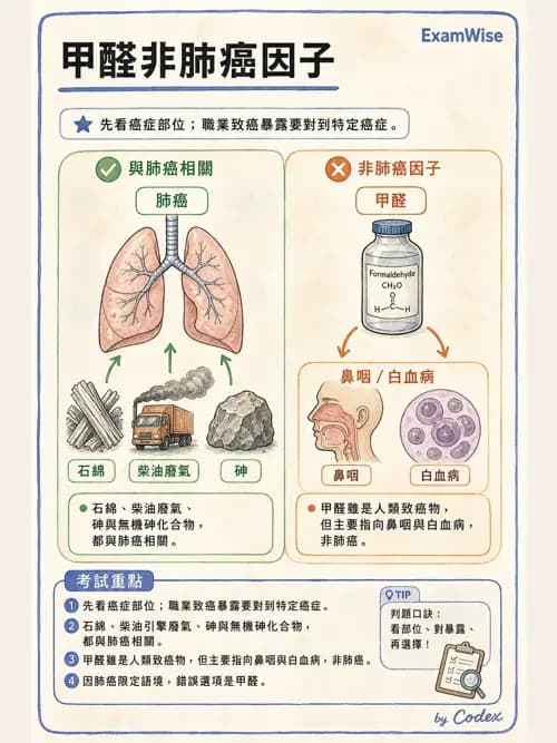 呼吸治療師 - 神經肌肉病變與腫瘤 - AI 圖文解析預覽
