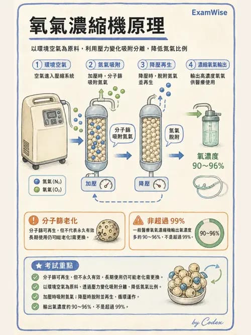 呼吸治療師 - 病人評估與衛教 - AI 圖文解析預覽