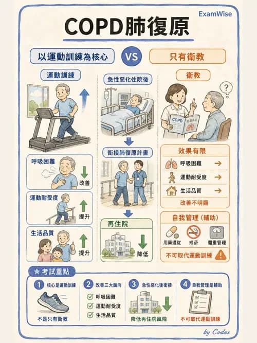 呼吸治療師 - 慢性氣道疾病 - AI 圖文解析預覽