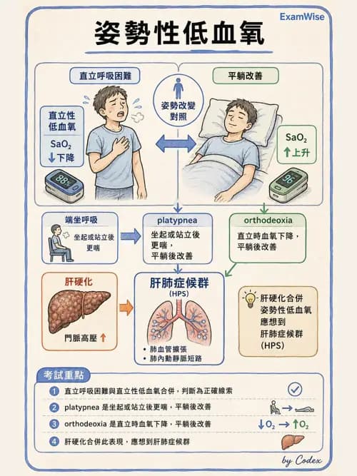 呼吸治療師 - 病人評估與衛教 - AI 圖文解析預覽