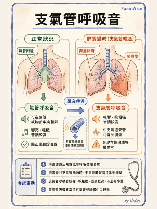 呼吸治療師 - 病人評估與衛教 - AI 圖文解析預覽