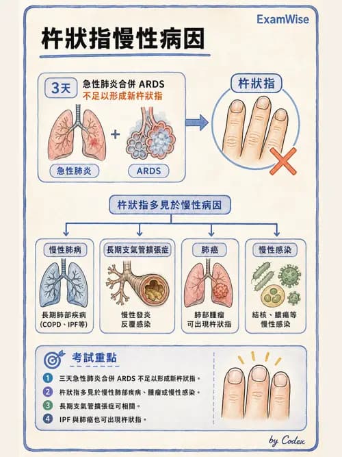 呼吸治療師 - 病人評估與衛教 - AI 圖文解析預覽