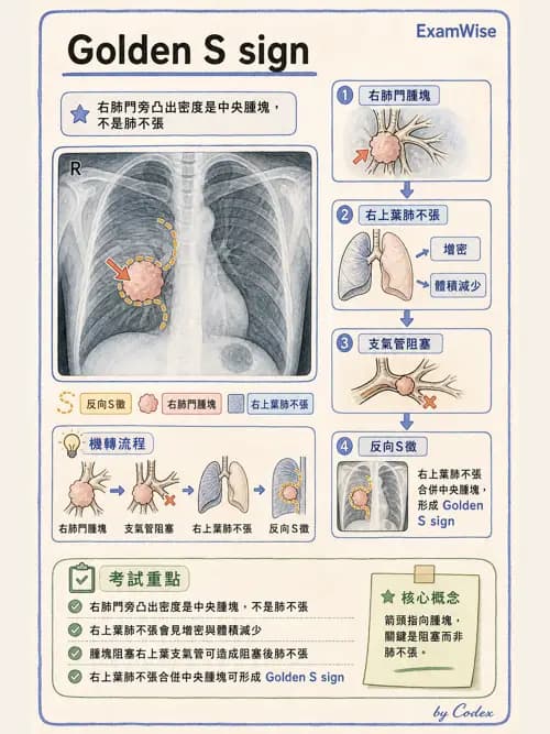 呼吸治療師 - 病人評估與衛教 - AI 圖文解析預覽
