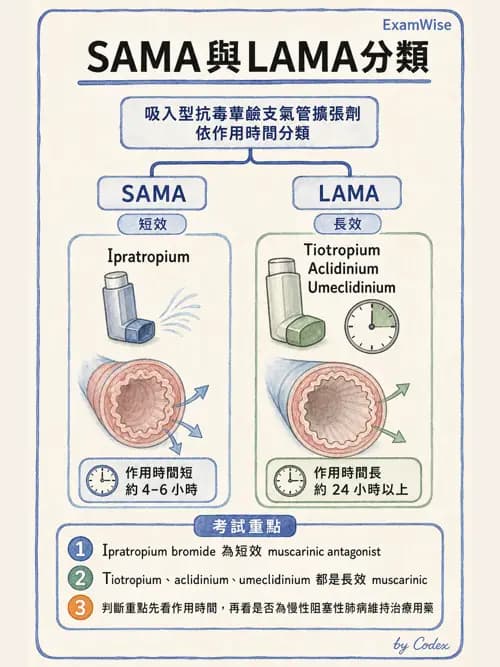 呼吸治療師 - 慢性氣道疾病 - AI 圖文解析預覽