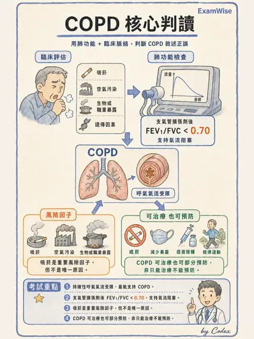 呼吸治療師 - 慢性氣道疾病 - AI 圖文解析預覽