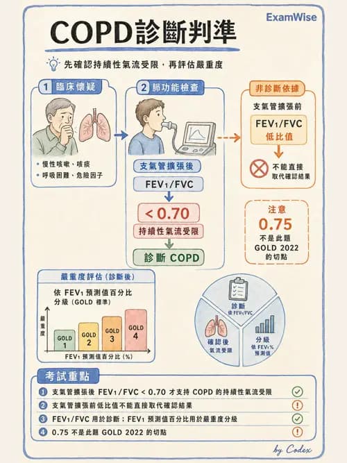 呼吸治療師 - 慢性氣道疾病 - AI 圖文解析預覽