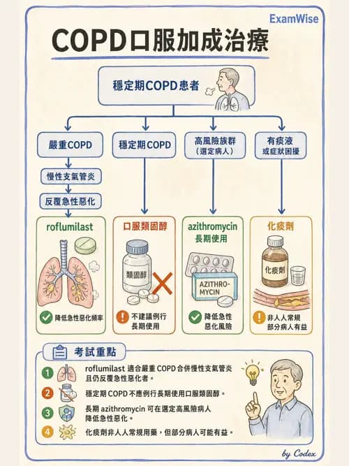 呼吸治療師 - 慢性氣道疾病 - AI 圖文解析預覽