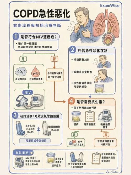 呼吸治療師 - 慢性氣道疾病 - AI 圖文解析預覽