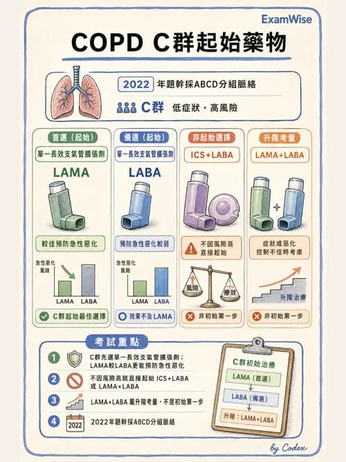 呼吸治療師 - 慢性氣道疾病 - AI 圖文解析預覽