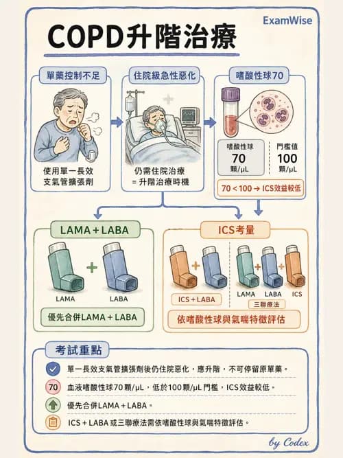 呼吸治療師 - 慢性氣道疾病 - AI 圖文解析預覽