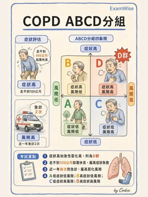 呼吸治療師 - 慢性氣道疾病 - AI 圖文解析預覽